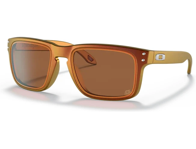 Holbrook cheap bronze polarized